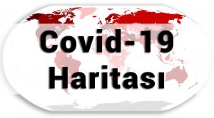 Coronavirüs COVID-19 Son Durum Haritası Hakkında Bilgi